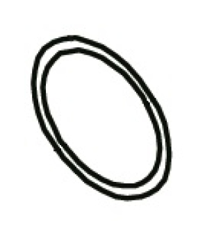 O-Ring 17.00x1.50 FKM